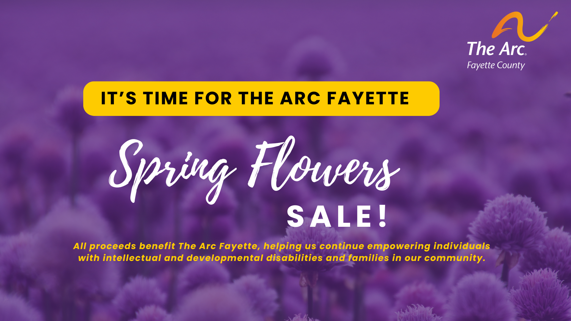 Spring flowers fundraiser