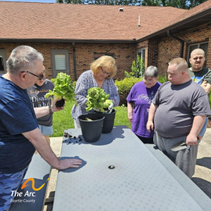 1 Arc Fayette participants planting lettuce