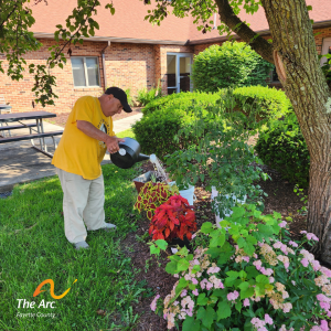 2 Rocco watering the lettuce