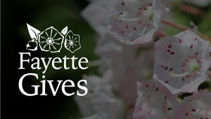 Fayette Gives