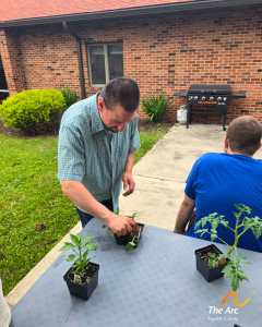One of our Adult Training Facility (ATF) participants planting in the garden.