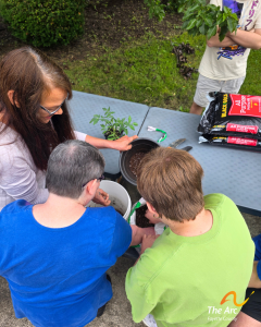 Three of our Adult Training Facility (ATF) participants planting tomatoes in the garden.